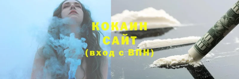 ссылка на мегу tor  Ветлуга  COCAIN Fish Scale 